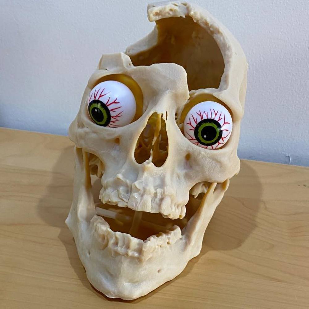 Meet your Posher, Jen